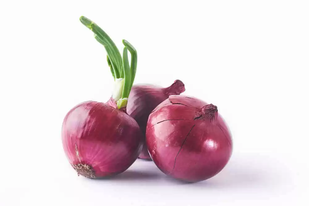 Can Diabetics Eat Onion Sugar.Fit